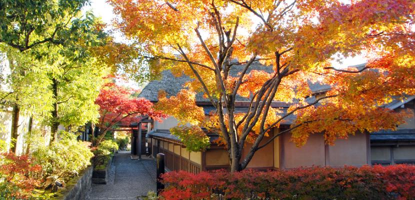 Yokokan Garden