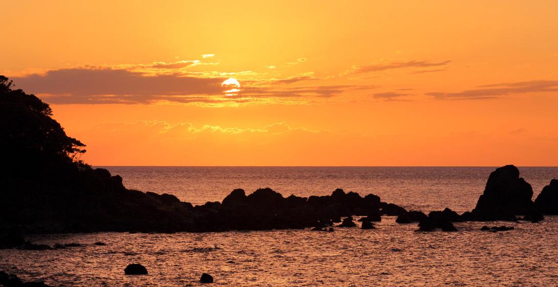 Echizen Coast Sunset and Daffodil