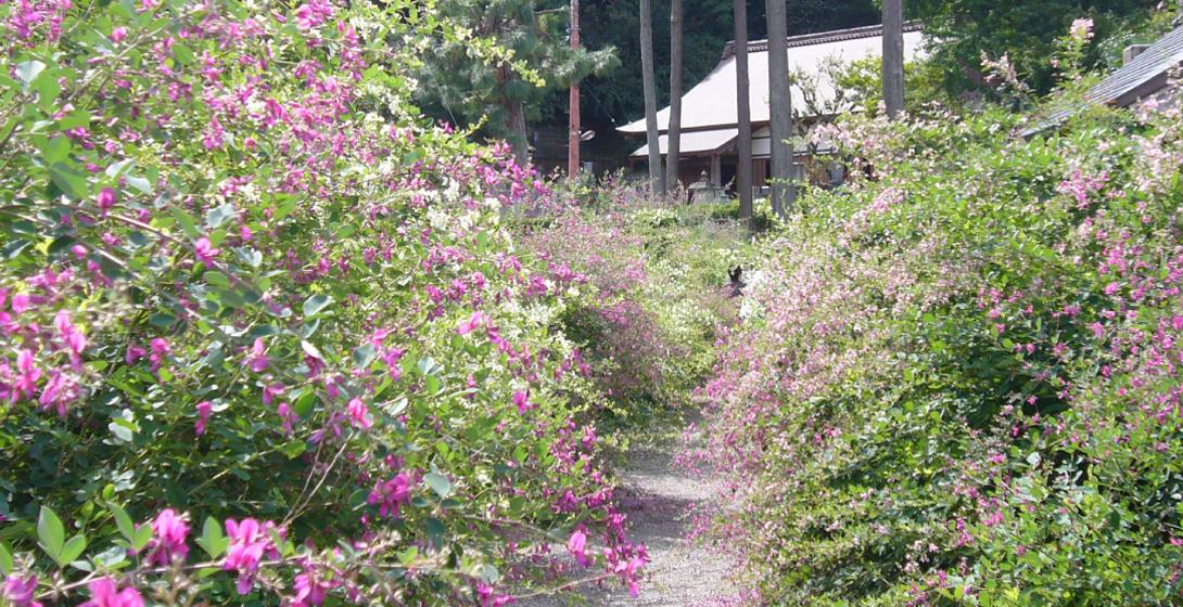 Zuigenji Temple