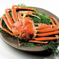 Fishing Echizen Gani Crab ban is lifted