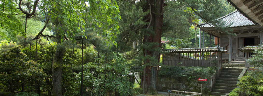 Temple and shrines